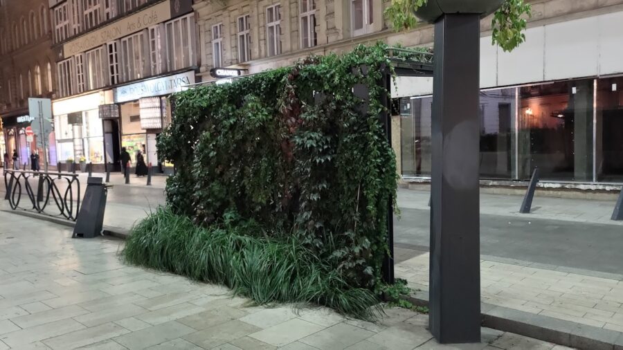 Green public transport stop in Budapest overgrown by plants